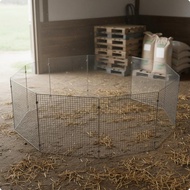 [szlztmy2mg] Portable Chick Brooder Sturdy Chick Brooder Pen Assembly Required Galvanized Mesh Enclo