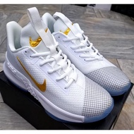 2025 Lebron Ambassador 13 highest quality shoes