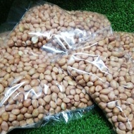 Kacang Tanah Mentah Cantik