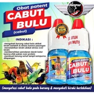Obat patent cabut bulu birahi ob cabul burung ngelowo betmen nabrak ruji ngeruji