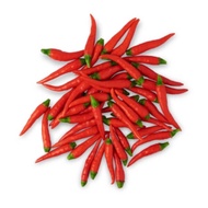 Red cili padi along Red cili padi along