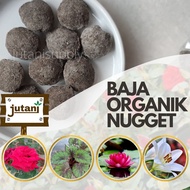 Baja Organik Nugget untuk Ros/Lily/Lotus/Teratai/Begonia