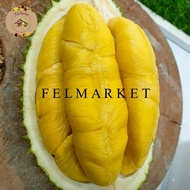 Durian Musangking Fresh Manis Utuh / Buah Durian Musang King Malaysia / Durian Musang King -+1, 8 Kg