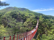 Tour 2 ngày Các điểm tham quan hàng đầu Hàn Quốc (Tour DMZ + Thành phố Seoul)