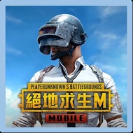 和平精英國際服代儲代充PUBG國際服儲值充值－🔥Tsgame🔥已為香港人服務8年老店