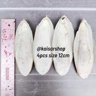 4pcs sizs 12cm Cuttlefish Bone Calcium Squid Shell Cuttlefish Bone Natural Nutrition Export Quality