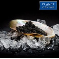 【歐洲菜籃子】Planet Caviar 施氏鱘龍魚子醬 Sturgeon Caviar 100克，世界三大奢華美食之一