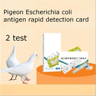 2pcs Pigeon E. coli Test Kit | E. coli Antigen Rapid Test for Racing Pigeons