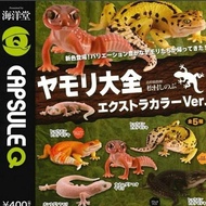 Kaiyodo Capsule Q Museum Gecko Encyclopedis - Female Gecko