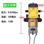 Agricultural Electric Sprayer High Pressure Water Pump High Power12v High-pressure Return Type Elect