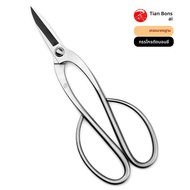 เกรดมาตรฐาน 200 มม.กรรไกรบอนไซตัดแต่งกิ่งด้านบน 3Cr13 โลหะผสมเหล็กเครื่องมือบอนไซ