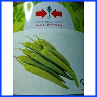 ❐ ◠ ➻ DJANGO F1 (25 GRAMS) HYBRID HOT PEPPER / SILING HABA PANIGANG BY EAST WEST SEED