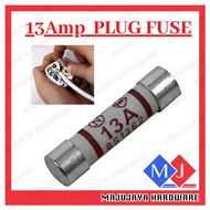13Amp Fuse 13Amp Plug Top Fuse 13a Fuse 13a Plug Fuse