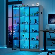 Best Value 65" Display Cabinet With Lights, 5 Tier Curio Cabinets Bookcase With Adjustable Shelves, 
