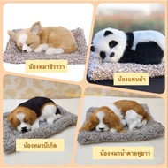 🐶ตุ๊กตาหมา 🐱ตุ๊กตาแมว 🐼ตุ๊กตาหมีแพนด้า ตุ๊กตา🦊จิ้งจอก ตุ๊กตาดูดกลิ่น ตุ๊กตาดับกลิ่น น้องหมา น้องแมว 