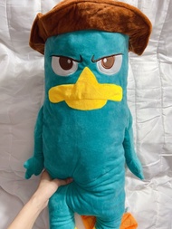 睇最後張圖 文盲勿買❣️  絕版正版、出口台灣新北市  agent p perry platypus cushion plush 神探泰瑞攬枕 鴨嘴獸泰瑞公仔 全長約74 cm