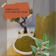 SERBUK DAUN SUSU NABI/ara tanah 100g