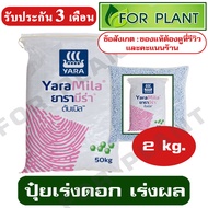 ปุ๋ย สูตร 8-24-24 ตรายารา มีร่า เเบ่งบรรจุ 2 กิโลกรัม ปุ๋ยเร่ง ต้น ใบ ดอก ผล ใส่ผัก ผลไม้ ไม้ดอกไม้ป