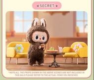 Labubu 馬卡龍 隱藏版 栗子可可