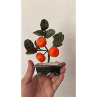 kiat kiat tree by Apple Paguio