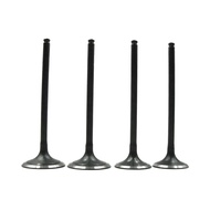 Motorcycle Intake Exhaust Valve Stem Kit for KLX250 KLX300 BR250 Z250SL BX250 250SL KLX 300 BR BX 25