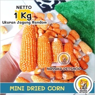 Mini Dried Corn 1 Kg Jagung Kering Hamster Makanan Snack Pakan Hewan