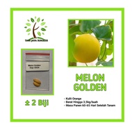 2 Golden Melon Seeds, Superior Quality Golden Melon Fruit Seeds
