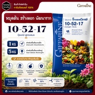 Gromax Formula 10-52-17 High Phosphorus Stop The Tree Create Flowers Develop Roots Giffarine Fertili