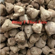 Dried Chinese Bear Root (Chinese bear root, water pipe, umbrella) Type 1 [500g]