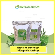 Nutrisi AB Mix Hidroponik Surabaya Pekatan 5 liter Sayuran Daun