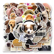 Cute dog meme stickers / funny dog meme stickers