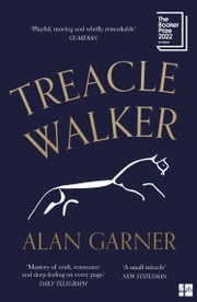 Treacle Walker Alan Garner