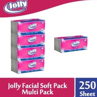 JOLLY TISSUE CONTENTS 4 PACKS x 250 SHEETS 2 PLY FACIAL TISSUE HOME CARE SUPPLIES SINARMAS PAPER TIS