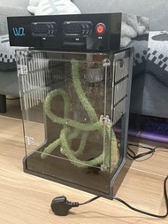 WD 有溫控爬蟲箱
