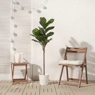 FEJKA Artifial Plant Fiddle Leaf Pokok Hiasan 145cm
