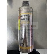 Pentair Everpure 2FC-S Water Filter