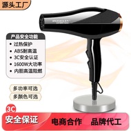 New Style Hair Dryer Household Hair Dryer Hair Salon Negative Ion Multi-Gear Temperature Control Bar