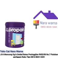 Propan Go Fast A 1000 Cat Kayu &amp; Besi Water Based Ready mix 1Kg