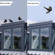 Hot Sale Plastic Repeller Bird  Pigeon Spikes Deterrent Anti Bird Stainless Steel Spike Strip Bird S