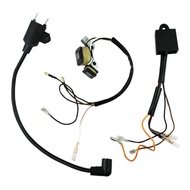 ET950 ET650 IE45 TG950 with Magneto Ignition coil Ignitor for TIGER Generator 450W 650W 800W 950W 10