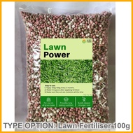 Free 100g Premium Bermuda Grass Seed / Philippines Grass Seed / Cow Grass Seed / Japanese Grass Seed