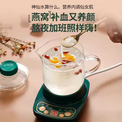 110V/220V Electric Kettle Ceramic Tea Warmer Health Care Overheat Protection for Japan USA Canada BD