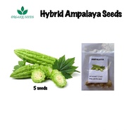 Ampalaya Seeds/Long (5pcs)