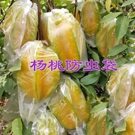 Carambola Bag, guava guava bag, soft seed pomegran Carambola Bag Guava Guava Bag soft seed Pomegrana