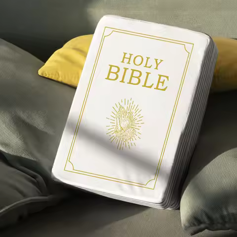 Mark 16 White Cutest Bible Memory Foam Pillow with Bible Throw Pillow Learn the valuable lesson Lear