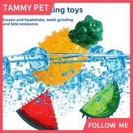 SG Shipment Freezable Pet Teether Cooling Chew Toy Summer Fruit Lemon Pineapple Watermelon Design