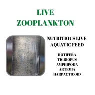 LIVE AQUATIC FEED ZOOPLANKTONS COPEPOD ROTIFER TIGERPOD