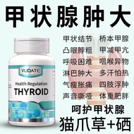 A total of 81.4356 million yuan + RMB VLIDATE imported cat c✿累计8143.56万+元VLIDATE进口猫爪草搭NAC氨基酸60粒桥本甲状咽