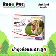 (แพ็คเกจใหม่) Antinol บำรุงข้อสำหรับสุนัข [1 กล่อง บรรจุ 60เม็ด]