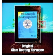 [30 g] Original Thailand Siam Rooting Hormone/Baja akar /Hormon Penggalak Akar/Keratan Batang Tut/Nu